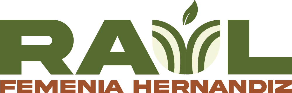 Raúl Femenia Hernandiz